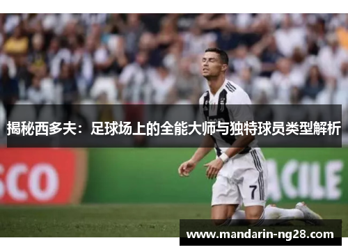 揭秘西多夫:足球场上的全能大师与独特球员类型解析 揭秘西多夫:足球场上的全能大师与独特球员类型解析