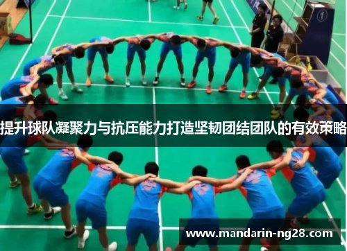 提升球队凝聚力与抗压能力打造坚韧团结团队的有效策略 提升球队凝聚力与抗压能力打造坚韧团结团队的有效策略