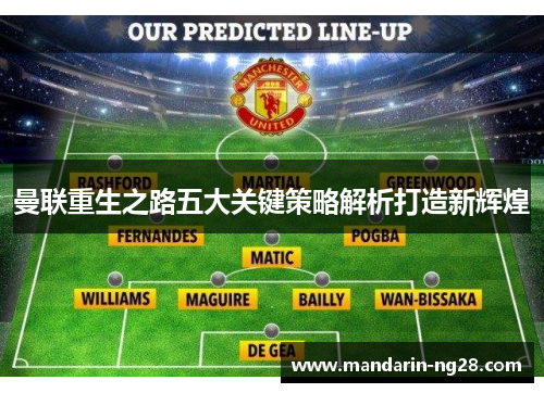 曼联重生之路五大关键策略解析打造新辉煌