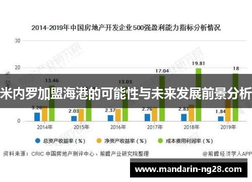 米内罗加盟海港的可能性与未来发展前景分析